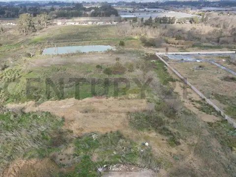 LOTE GALPON INDUSTRIAL EN ALQUILER EN LA PLATA
