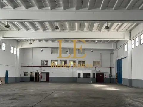 Leonardo Euler 2400
