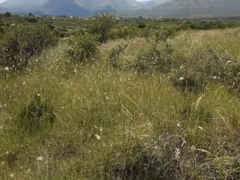 Terreno en Venta de 10000,0 m2