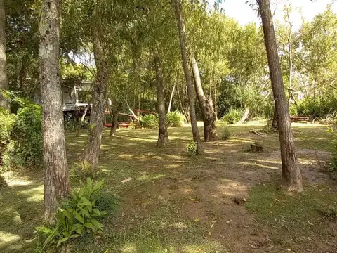 Rio / Arroyo Canal Honda Meraki 100