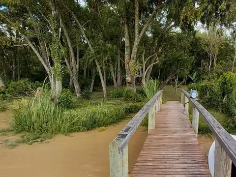 Rio / Arroyo Canal Honda Meraki 100
