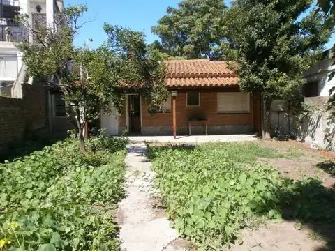 Ameghino 600