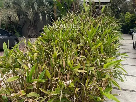 Bosque Chico, Almirante Brown y Aranzazu 100