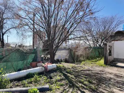 Raúl Carlos Brogin 300