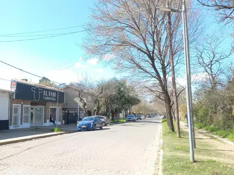 Terreno en Alquiler 15  mts Fondo