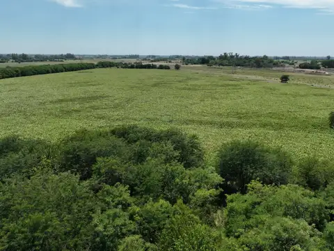 Campo en Venta Mixto