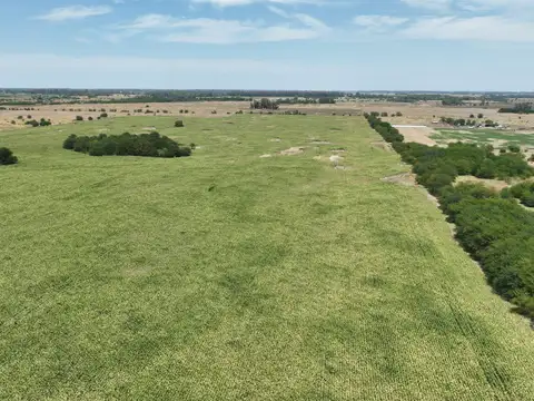Campo Mixto en Venta en Marcos Paz