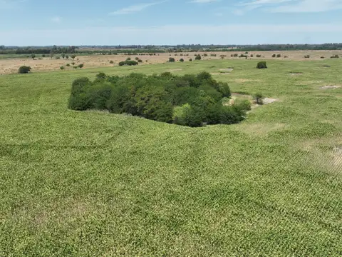 Campo en Venta de 80  ha