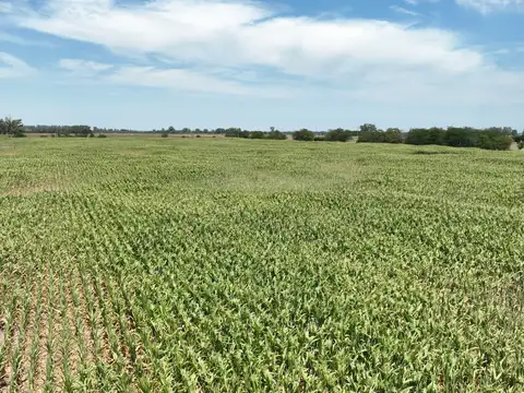 Campo en Venta con Alambrado