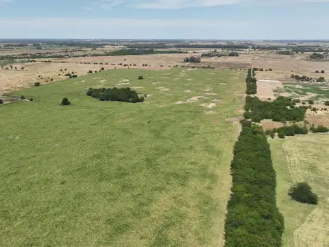 Campo en Venta de 80  ha