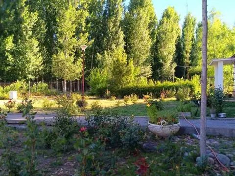 FINCA 11,5 HAS. EN COLONIA LAS ROSAS - TUNUYÁN