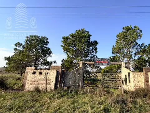 Estratégica Fracción de 12 Hectáreas con Doble Acceso (Ruta 11 y Aguas Verdes)