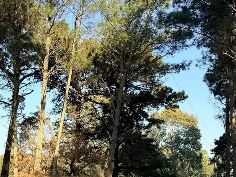 Estratégica Fracción de 12 Hectáreas con Doble Acceso (Ruta 11 y Aguas Verdes)