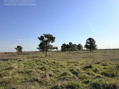 Ruta 11 km 336