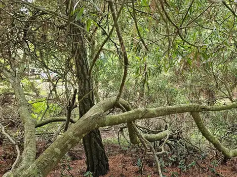 Terreno en Venta de 450,0 m2