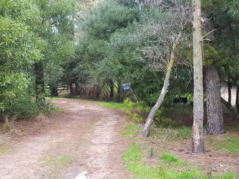 Avenida Del Plata Y Las Barquitas