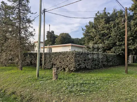 AVELLANEDA 100