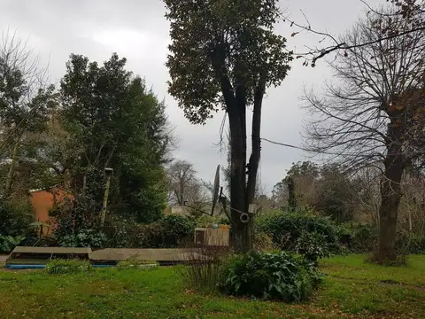 Gonzales Segura e/ Tadeo Haencke y Los Tilos