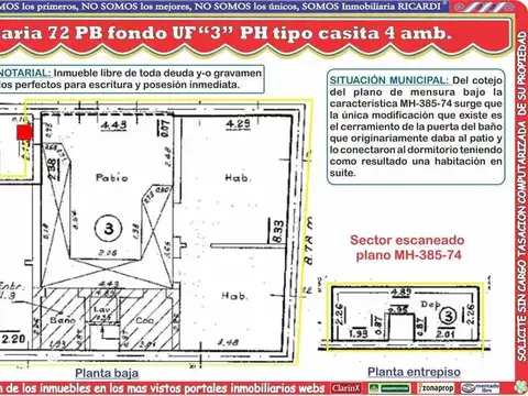 Candelaria 100