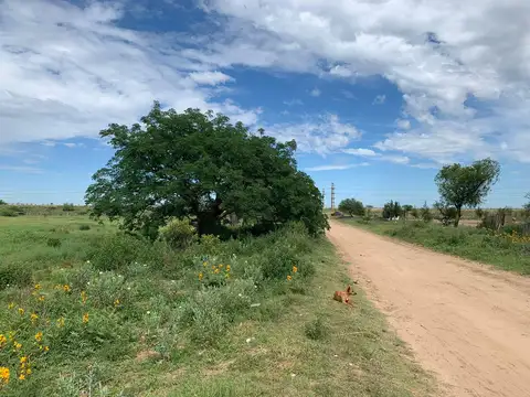 Terreno en Venta 200  mts Frente