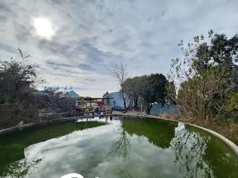 Feedlot - San Luis -