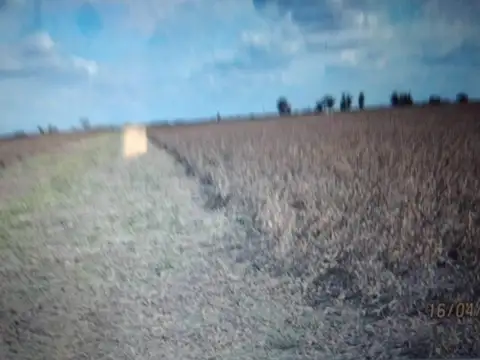 San Jeronimo Del Sauce, Santa Fe- 550 hectaáreas