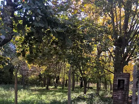 Terreno en Venta en Dique Luján, USD 850.000