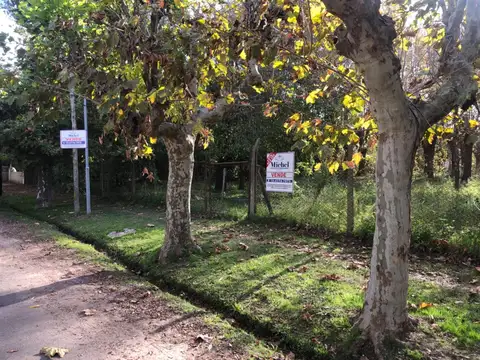 Avenida Villanueva 800