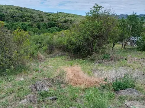Terreno en Venta 44  mts Fondo