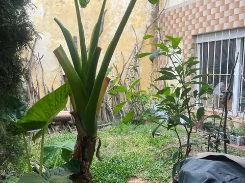 Casa en Venta en Lanus, USD 82.000