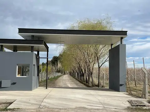 Damas Patricias y Ruta 22, barrio Las Patricias, General Roca