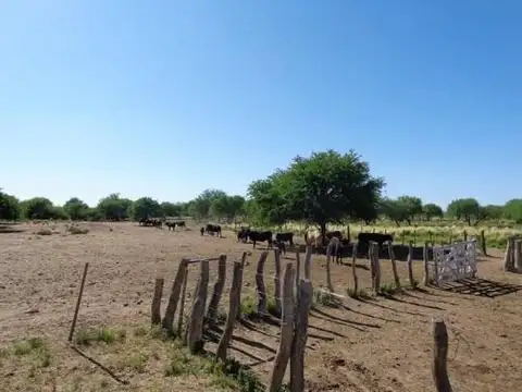 Chacharramendi, La Pampa 100