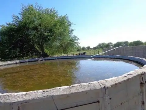Chacharramendi, La Pampa 100