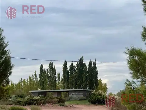 Vende Lote en la Peninsula Lago Mari Menuco