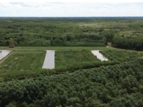 Lotes en venta - Alamos del Parana - Delta