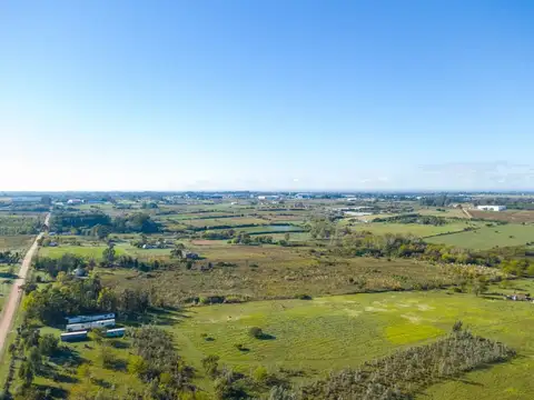 Venta campo 4,5Ha. Ruta 101 Colinas de Carrasco