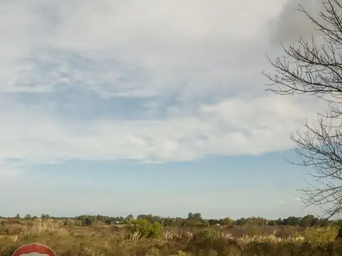 Venta campo 4,5Ha. Ruta 101 Colinas de Carrasco