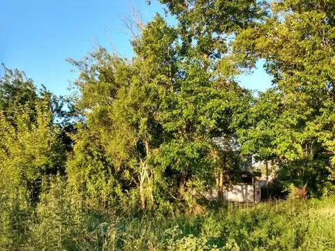 Terreno en Venta en Arturo Seguí, USD 10.000