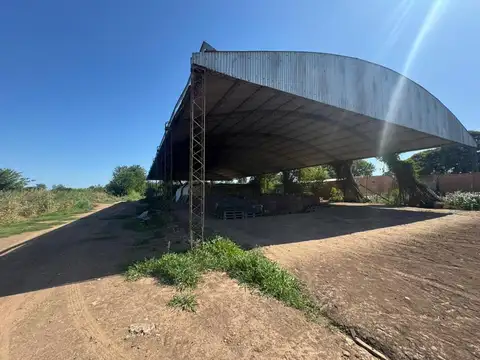 Venta campo agricola con casa y galpon 118 HAS CNO60 cuadras