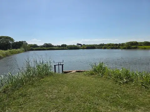 Venta campo agricola con casa y galpon 118 HAS CNO60 cuadras