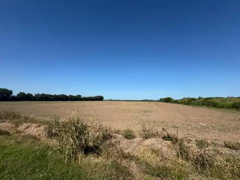 Campo en Venta de 118  ha