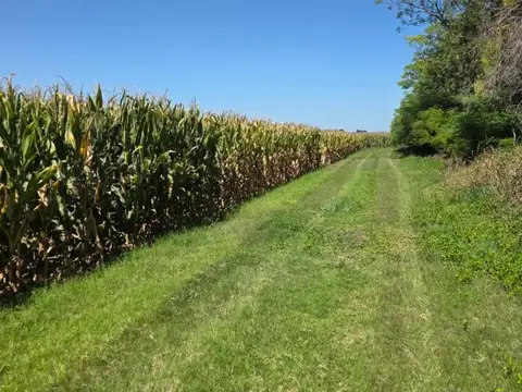 Venta Campo Agricola-Casa y Galpon. 118 HAS-CNO 60 cuadras