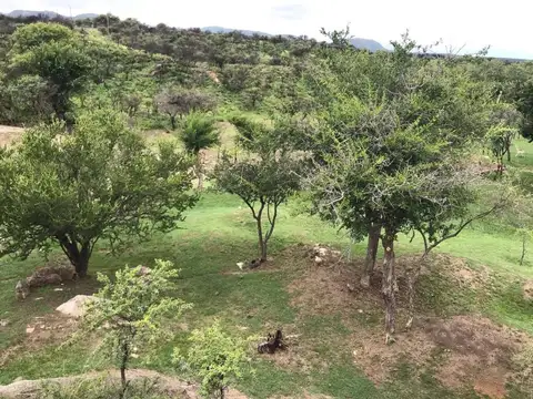 Consultar dirección
