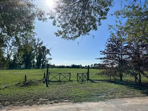 Terreno en Venta 100  mts Fondo