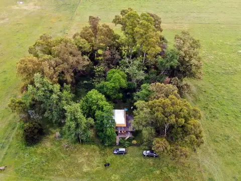 Campo venta las flores