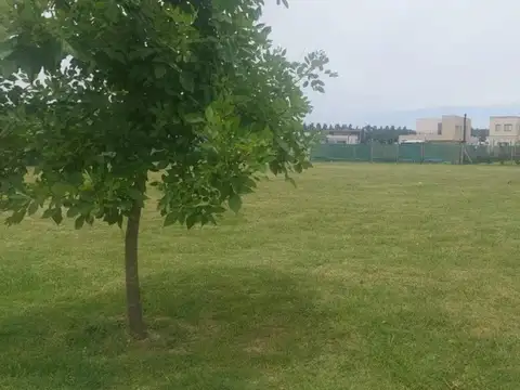 Terreno en Venta de 681,0 m2
