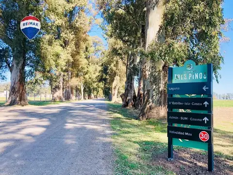 ruta 6 km 142