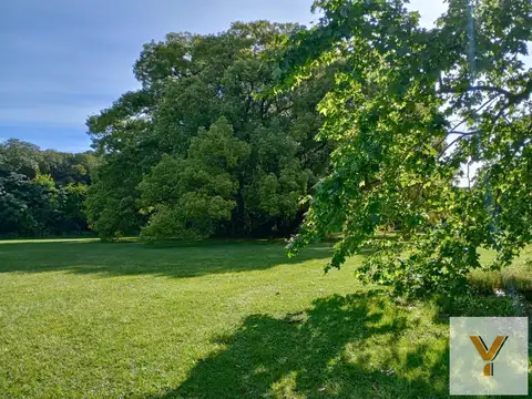 Terreno en venta - 25.000Mts2 - Estancia Benqueria, Monte