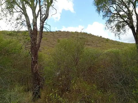 10 HA en venta en Quebracho Ladeado