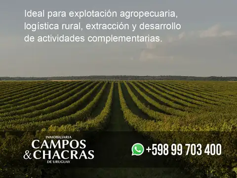 Ruta 9 a 7 Km de la ciudad de Rocha, Uruguay.